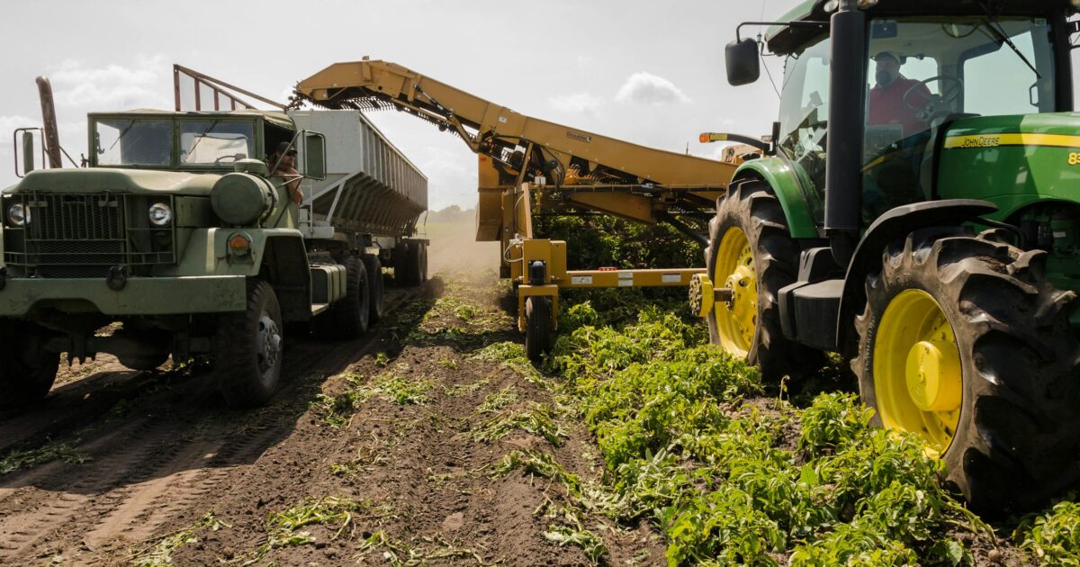 Caminhão e colheitadeira trabalhando em plantação